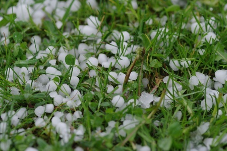 Hailstorm Damage