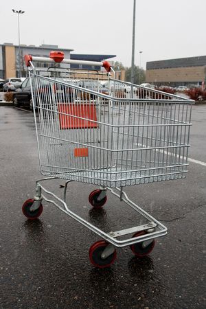 Stray Shopping Cart